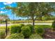 Landscaped front yard featuring a mature shade tree, well-maintained shrubs, and a view of the golf course at 8566 Sw 83Rd Loop, Ocala, FL 34481