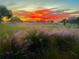 Picturesque golf course with a vibrant sunrise and tall grasses in the foreground at 8566 Sw 83Rd Loop, Ocala, FL 34481