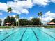 Inviting community pool featuring turquoise water, palm trees, and shaded lounge areas for relaxation at 15822 Sw 16Th Avenue Rd, Ocala, FL 34473
