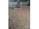 Large backyard featuring a large tree and a wooden fence, offering privacy and space for outdoor activities at 6415 Ne 23Rd Ave, Ocala, FL 34479