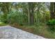 Expansive backyard featuring lush greenery and mature trees, providing a serene escape at 7242 Sw 115Th Pl, Ocala, FL 34476
