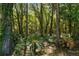 Lush wooded backyard featuring mature trees, offering a private and tranquil setting at 7242 Sw 115Th Pl, Ocala, FL 34476