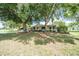 Well-maintained home featuring mature trees, landscaping, sidewalk, and green lawn at 8973 Sw 104Th Pl, Ocala, FL 34481
