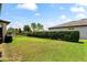 Lush green backyard featuring privacy landscaping at 9634 Sw 67Th St, Ocala, FL 34481