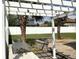 Backyard with a white pergola, outdoor kitchen, mature palm trees and a white privacy fence at 3983 Sw 51St Ct, Ocala, FL 34474