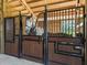 Comfortable horse stall featuring secure fencing and access to natural light, perfect for equine care at 7041 Ne 22Nd Court Rd, Ocala, FL 34479