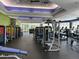 Bright, well-equipped gym featuring modern exercise machines and weights for a complete workout experience at 9706 Sw 92Nd Place Rd, Ocala, FL 34481