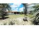 Private backyard framed by palm fronds, featuring a covered patio and lawn at 16905 Sw 30Th Avenue Rd, Ocala, FL 34473