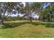 Scenic backyard view showcasing a lush, green lawn with scattered trees, creating a serene and natural setting at 10600 Se 32Nd Ave, Ocala, FL 34480