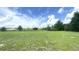 Large grassy backyard with trees behind the house at 10758 Se Highway 464C, Ocklawaha, FL 32179