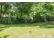 Lush backyard view surrounded by mature trees, foliage, and greenery at 1330 Ne 55Th St, Ocala, FL 34479