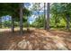 A backyard under a canopy of trees featuring relaxing hammock and seating area at 13479 Sw 100Th Ln, Dunnellon, FL 34432
