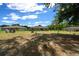 An expansive backyard, partially covered by trees, on a single Gathering property at 13479 Sw 100Th Ln, Dunnellon, FL 34432