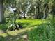 Expansive backyard featuring lush green grass and mature trees at 1523 Se 80Th St, Ocala, FL 34480