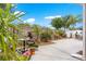 Landscaped backyard featuring patio, flowering plants, palms and rock border at 1751 Brandenburg Ct, The Villages, FL 32163