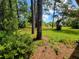 Large wooded lot featuring trees and an open grassy area at 20045 Sw 88Th Place Rd, Dunnellon, FL 34431