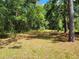 Large backyard area with mature trees and ample space for outdoor activities at 20045 Sw 88Th Place Rd, Dunnellon, FL 34431