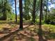 Large wooded and grassy lot featuring mature trees in backyard at 20045 Sw 88Th Place Rd, Dunnellon, FL 34431