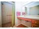 Accessible bathroom featuring a walk-in shower and vanity with plenty of counter space at 5347 Pecan Rd, Ocala, FL 34472