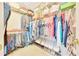 Well-organized walk-in closet featuring ample shelving and hanging space for clothes and accessories with neutral carpeting at 6330 Sw 117Th Loop, Ocala, FL 34476