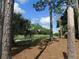 Tranquil golf course view showcasing the manicured greenway amongst shady trees at 80 Hickory Course Loop, Ocala, FL 34472