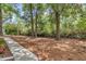 View of the wooded backyard featuring mature trees and green landscaping at 8775 Sw 192 Ct, Dunnellon, FL 34432