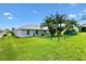 Expansive backyard with well-kept lawn, palm trees, and a fenced perimeter at 12178 Se 174Th Pl, Summerfield, FL 34491