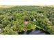 Picturesque aerial view of the property highlighted by the red boundary line at 19620 Fox Trl, Dunnellon, FL 34432