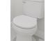 Close-up of a modern white toilet with a traditional design, clean and well-maintained at 3325 Sw 165Th Loop, Ocala, FL 34473