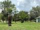 Well-manicured front yard with lush green grass, palm trees, and mature trees enhancing the property's curb appeal at 6773 Se 87Th St, Ocala, FL 34472