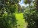 Green backyard and mature vegetation framing the house in the distance at 8959 Sw 96Th Ln # A, Ocala, FL 34481
