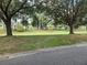 Expansive front yard with lush green grass and mature shade trees creates a serene outdoor space at 8959 Sw 96Th Ln # A, Ocala, FL 34481