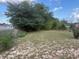 A large grassy backyard with chain link fence and mature trees at 499 Water Rd, Ocala, FL 34472
