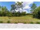 The backyard features a well-manicured lawn with new landscaping, a few rows of pavers, and an open view of trees at 9746 Sw 108Th Terrace Rd, Ocala, FL 34481