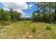 This property is spacious, overgrown, and offers views of the tree line at 9746 Sw 108Th Terrace Rd, Ocala, FL 34481