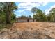 The backyard is a new space for customization and outdoor activities surrounded by a lot of trees at 11506 Nw 20Th St, Ocala, FL 34482