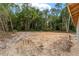 Large, cleared backyard ready for landscaping, featuring lush trees and a potential garden area at 11506 Nw 20Th St, Ocala, FL 34482