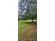 Expansive backyard with mature trees draped with Spanish moss on a horse property at 12524 Sw 109Th Pl, Dunnellon, FL 34432
