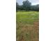 Expansive view of grassy land on the property at 12524 Sw 109Th Pl, Dunnellon, FL 34432