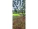 Fenced land on the property featuring mature trees and grassy areas at 12524 Sw 109Th Pl, Dunnellon, FL 34432