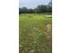 Expansive grassy land with trees and fencing at 12524 Sw 109Th Pl, Dunnellon, FL 34432