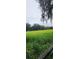 View of lush green horse pasture bordered by a wooden fence at 12524 Sw 109Th Pl, Dunnellon, FL 34432