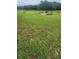 Large pasture on horse property featuring a few tire obstacles at 12524 Sw 109Th Pl, Dunnellon, FL 34432