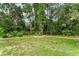 A backyard garden in full bloom on a well-maintained lawn, ready for relaxation at 19115 Sw 98Th Loop, Dunnellon, FL 34432