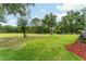 Expansive backyard featuring lush greenery and mature trees, offering a serene outdoor retreat with distant views at 19115 Sw 98Th Loop, Dunnellon, FL 34432