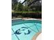 Inviting pool featuring dolphin mosaics and spa steps inside a screened-in enclosure at 19480 Sw 100Th Loop, Dunnellon, FL 34432