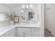 Well-lit bathroom featuring vanity with sleek countertop, decorative plant, and modern fixtures at 3001 Hillside Ln, The Villages, FL 32162