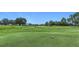 Beautiful golf course scenery with well-maintained greens, mature trees, and a serene landscape for golfers at 5233 Nw 43Rd Lane Rd, Ocala, FL 34482