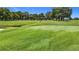 Scenic golf course view featuring a well-manicured green with a flag, surrounded by lush fairways and mature trees at 5233 Nw 43Rd Lane Rd, Ocala, FL 34482