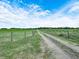 Long, private gravel driveway leading through fenced pastures, providing a peaceful entry at 4880 Bannon Island Rd, Haines City, FL 33844